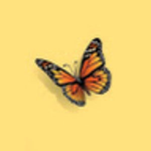 Meet your Posher, Cloudyy._aesthetics